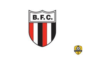 Botafogo-SP: Tradição e Superação no Futebol Brasileiro